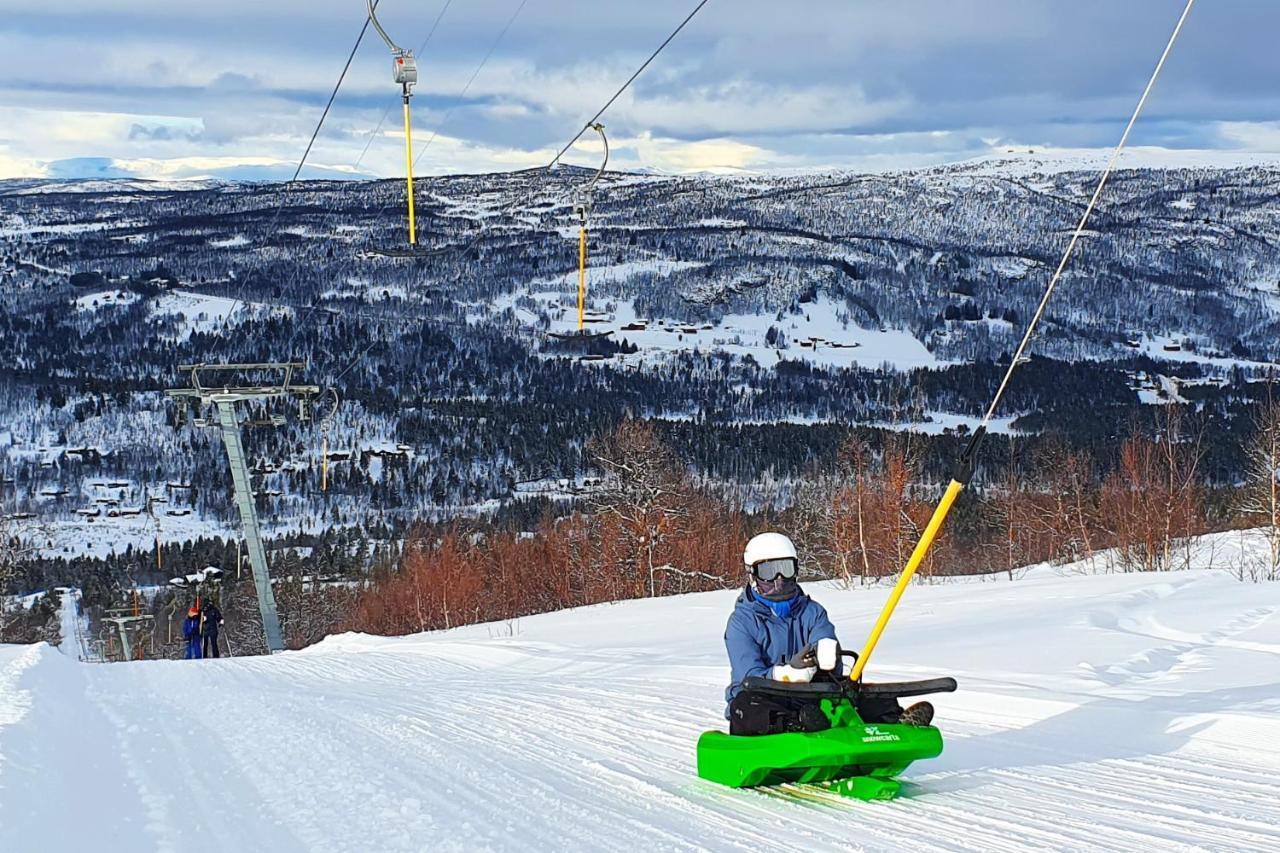 Active Adventure Base - Apartment & Lavvo, Dagali Fjellpark Exteriér fotografie